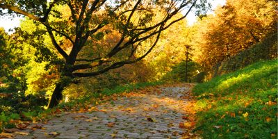 nice-pathway-city-autumn-fulda-hessen-germany